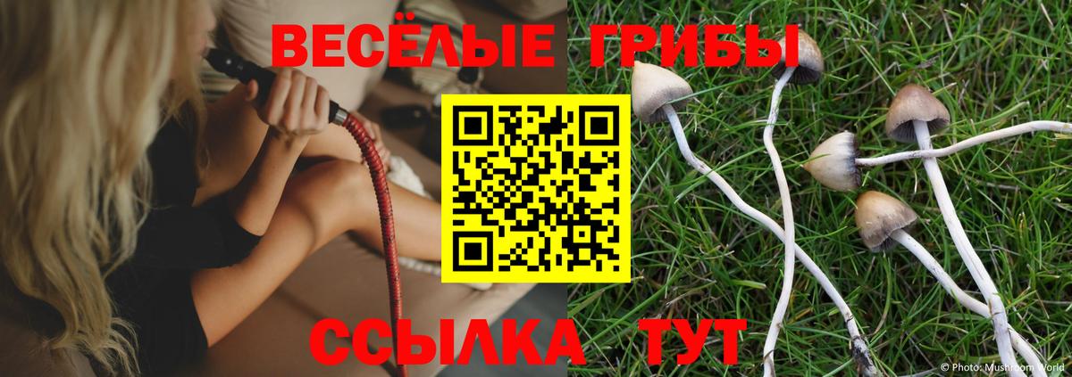 Псилоцибиновые грибы мухоморы Десногорск